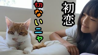 恋を知った女子猫の初恋の行方は？　3ヶ月追跡撮影しました