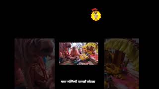 माता रुक्मिणी पालखी सोहळा ह भ प समाधान महाराज शर्मा #samadhanmaharajsharma #shorts