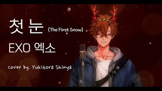 첫 눈 - EXO (엑소) [The First Snow] (Cover by. Yukitora Shinya)