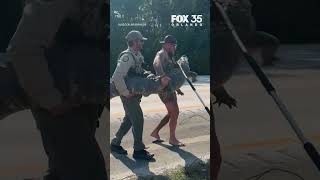 Barefoot Florida man wrangled 10-foot alligator next to highway