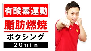 【20分】ボクシングエクササイズで脂肪－1kg落とす！全身を脂肪燃焼する有酸素運動！