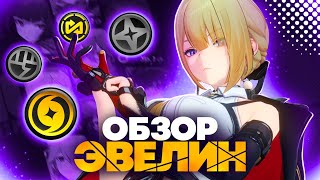 Королева Цепочки Атак. Всё Про Эвелин | Обзор Эвелин | Zenless Zone Zero