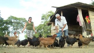 El despojo que marcó a sangre y fuego el campo en Colombia