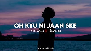 Oh Kyu Ni Jaan Sake - Punjabi Lofi ( Slowed + Reverb ) | Mp3 Lofi Music