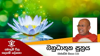 අමාදම් විල සදහම් දේශනා | බහුධාතුක සූත්‍රය