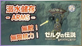 【曠野之息】無敵＋無限精力！「溺水儲存／阿姆斯狀態(ARMS, Aqua Reverse Memory Storage)」（不廢話系列）