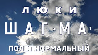 ШАГ-МА. Простой люк, для сложных и невыполнимых задач. Он откроет ваш потенциал!