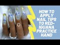 HOW TO APPLY NAIL TIPS TO RED IGUANA HAND