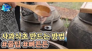 사과식초 만드는 방법 #꿀팁 #뼈튼튼 MBN 230428 방송