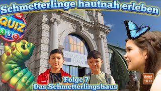 Schmetterlinge hautnah erleben!