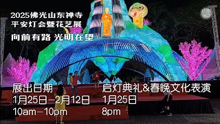 #东禅寺 #平安灯会 #向前有路光明在望 #以歌会影 嘿皮耶  #幸福村 #仁嘉隆 #新年 #花灯