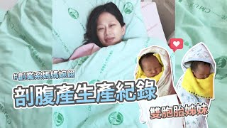 【生產紀錄】 雙胞胎剖腹產 感人待產生產過程 ｜ 創業系媽媽 懷孕日記後期 #14：第十個月(36-39週) - 懷孕是一件很美好的事 嬰兒 寶寶