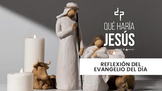 Evangelio de hoy: Martes 11 de febrero - “No solo servir, sino seguir a Cristo”