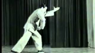 Tai Chi Yang Lee Style founder: Doctor Lee Ying Arng (1930-1988)