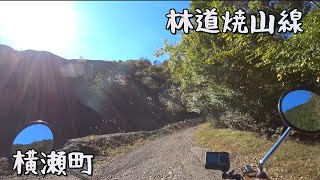 KLX125  横瀬町　林道焼山線