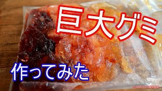 100日チャレンジ最終動画｜巨大グミ作ってみた