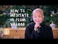 How to Meditate in Plum Village | Sister Chân Không (short teaching)