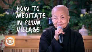 How to Meditate in Plum Village | Sister Chân Không (short teaching)