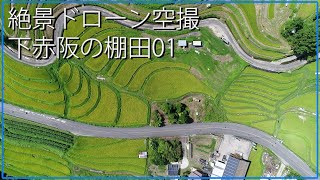 絶景ドローン空撮｜真夏の下赤阪の棚田 大阪府南河内郡千早赤阪村大字森屋 日本の観光旅行のドローン撮影動画