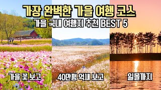 완벽한 가을 여행 코스 여기 있어요 국내 가을 여행 추천 BEST