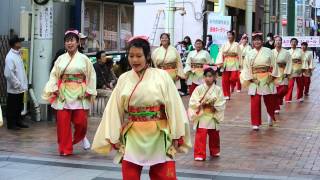 桜湖頭 in よさこい東海道 仲見世通り