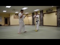 beginner tameshiwari uechi ryu