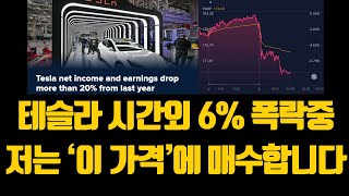 테슬라 시간외 6% 폭락중 저는 '이 가격'에 매수할 겁니다