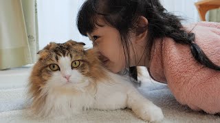 お風呂上りのやさぐれ猫も娘にはふわふわの毛を堪能させてくれます