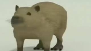 Capybara spinning and shaking low quality cringe 3D 1,5x speed