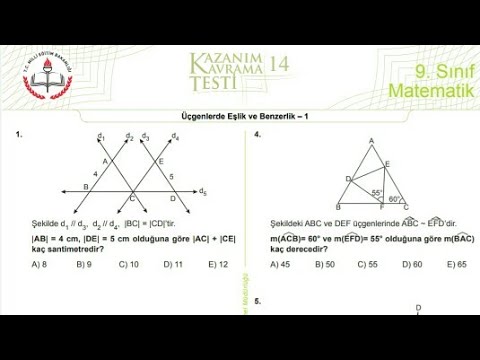 9.Sınıf Meb Kazanım Testi-14 | Kazanım Kavrama Testleri Cevapları Ile ...