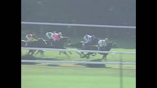 サクラローレル 1994年比良山特別(4歳以上900万下) (優勝馬：サクラローレル)