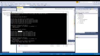 Microsoft Visual Studio C#: Ping