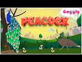 Peacock Fun Facts for preschool kids | Birds series | Education and Entertainment