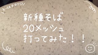 新種のそば20メッシュで打ってみた