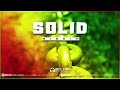 SOLID RIDDIM - [Free] Reggae Instrumental Beat 2024