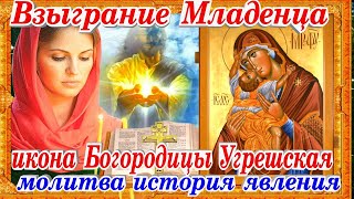Взыграние Младенца икона Пресвятой Богородицы Угрешская молитва история явления 20 ноября