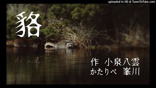 【怪談】【朗読】小泉 八雲『貉』　かたりべ：峯川 マミ