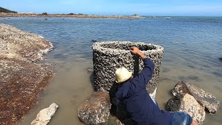 大潮后阿明闯进废弃鲍鱼场赶海，鲍鱼海鳗青蟹啥都有，太刺激了