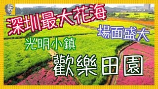 【深圳好去處】光明小鎮．歡樂田園｜花海．油菜花．向日葵 [4K][字幕]