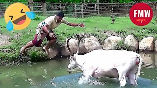 Funny \u0026 Hilarious People's Life 😂 #114 - Try not to Laugh | Funny Fails Compilation 2024