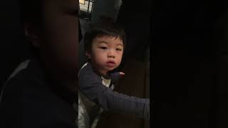 2017年4月15日@上海自然史博物館　凛人2歳2ヵ月 #2歳児