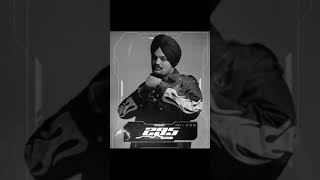 295 Sidhu Moosewala New Punjabi Song Status 295 #Sidhumoosewala #shorts