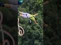 Nice jump #bungeejump #bungee #shorts #shortvideo #thriller #trending #youtubeshort #shortsfeed