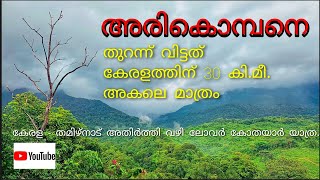 അരികൊമ്പൻ ലോവർ കോതയാറിൽ എത്തുമോ...?                    Arikomban || Lower kodayar || Kerala border.