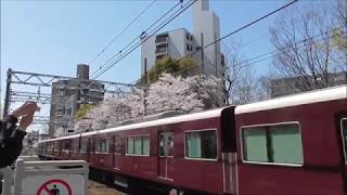 ２０１８年　阪急電車と桜