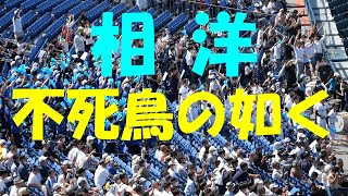 【2023春季神奈川準決勝】相洋『不死鳥の如く』 (東京大学チャンステーマ)