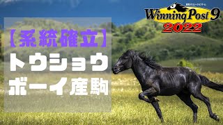 【ウイニングポスト9　2022　系統確立】トウショウボーイ産駒(自家生産馬系統確立の解説)