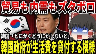 【ゆっくり解説】韓国さん、貿易も内需もズタボロで国民に生活費を貸付【焼け石に水】