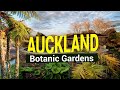 Auckland Botanic Garden | Auckland | New Zealand