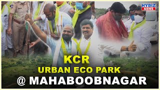 KCR Eco Park Inaugurated by Minister Srinivas Goud | Mayuri Haritha Vanam | Mayuri Eco Park